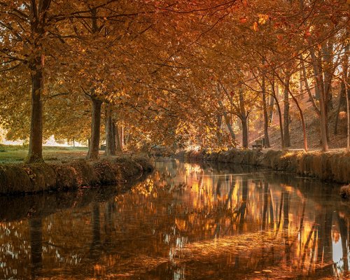 Lámpara de escritorio iluminando un espacio de trabajo ordenado